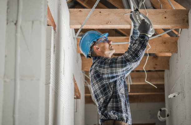 Best Electrician for Home Renovation  in Black Earth, WI